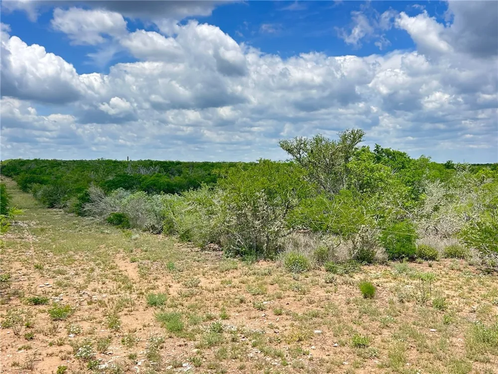 TBD San Diego, TX 78384
