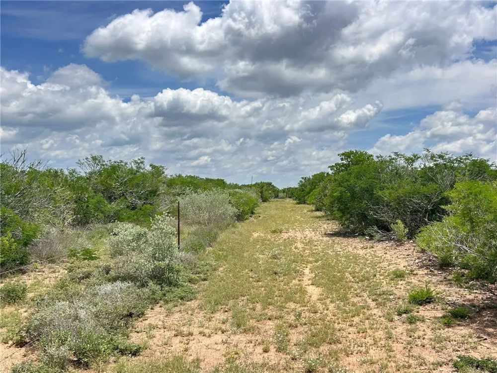 TBD San Diego, TX 78384