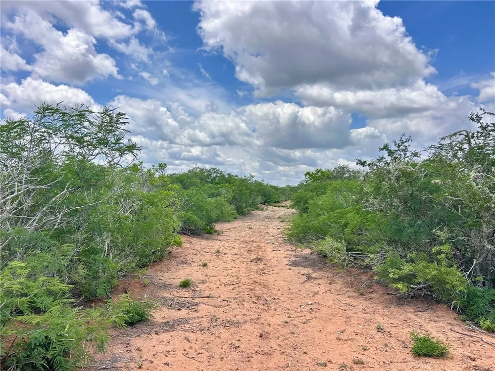 TBD San Diego, TX 78384