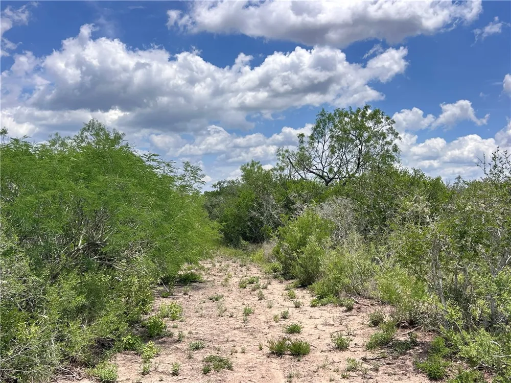 TBD San Diego, TX 78384