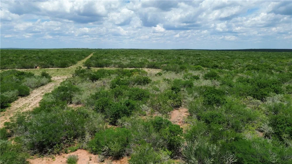TBD San Diego, TX 78384