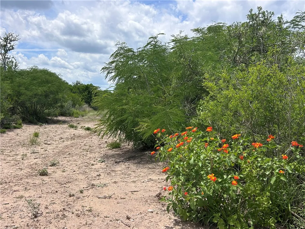 TBD San Diego, TX 78384