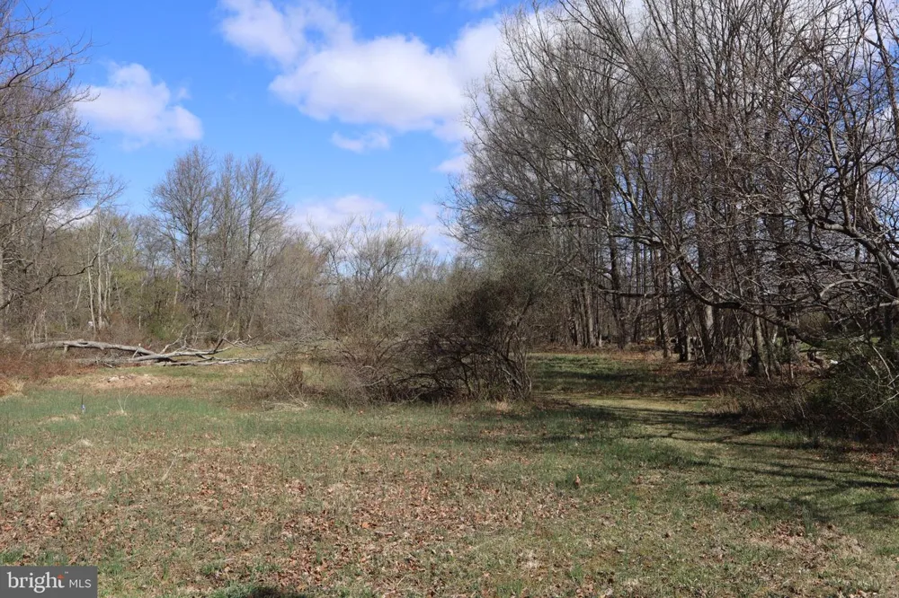 1603 CHESTNUT RIDGE ROAD Upper Black Eddy, PA 18972