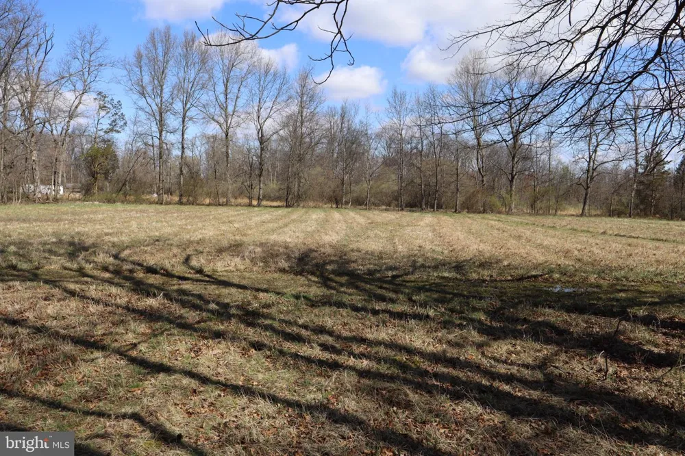 1603 CHESTNUT RIDGE ROAD Upper Black Eddy, PA 18972
