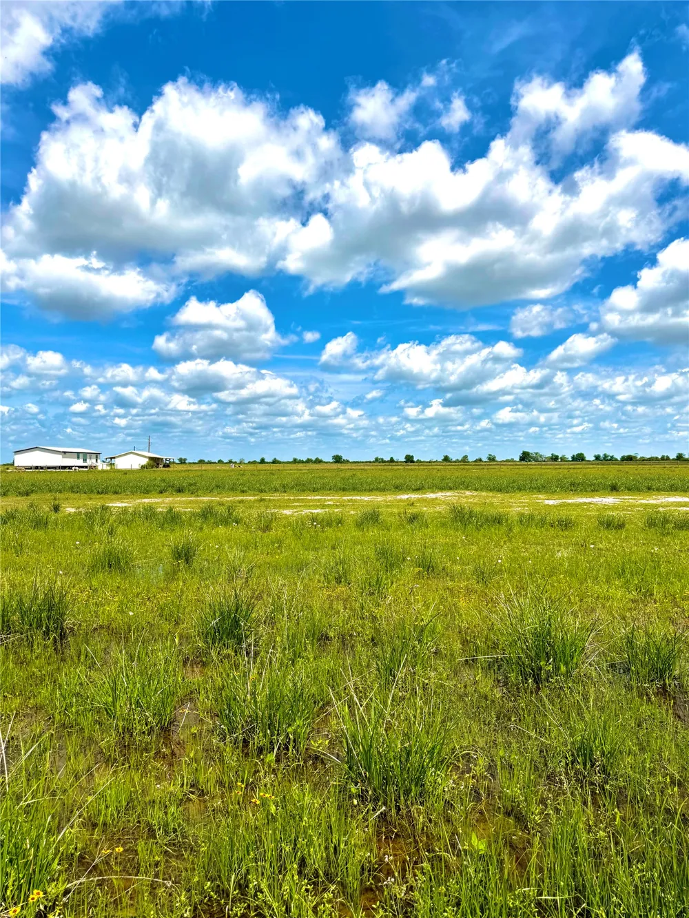 43 Mcdonald Road Eagle Lake, TX 77434