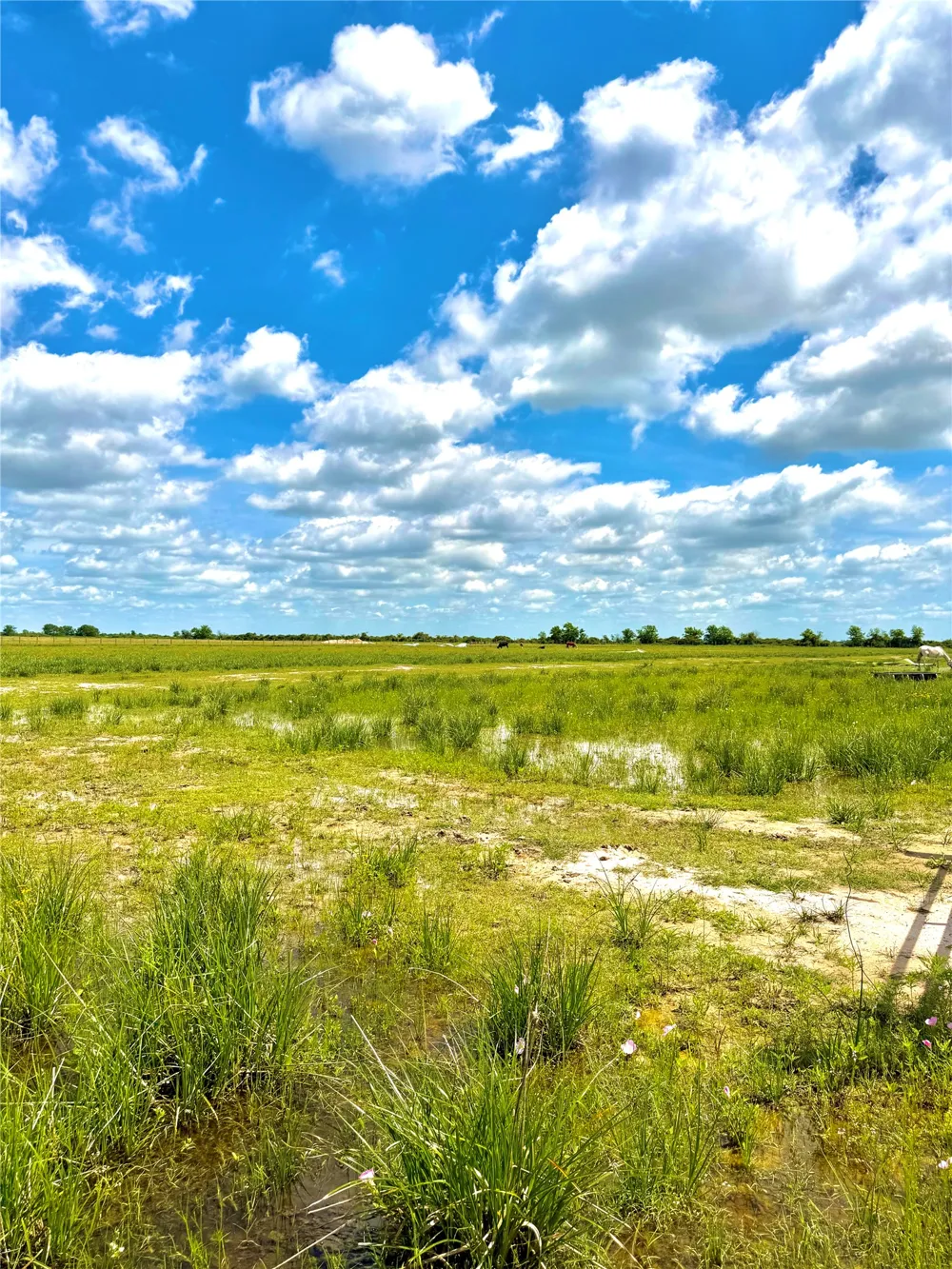 43 Mcdonald Road Eagle Lake, TX 77434
