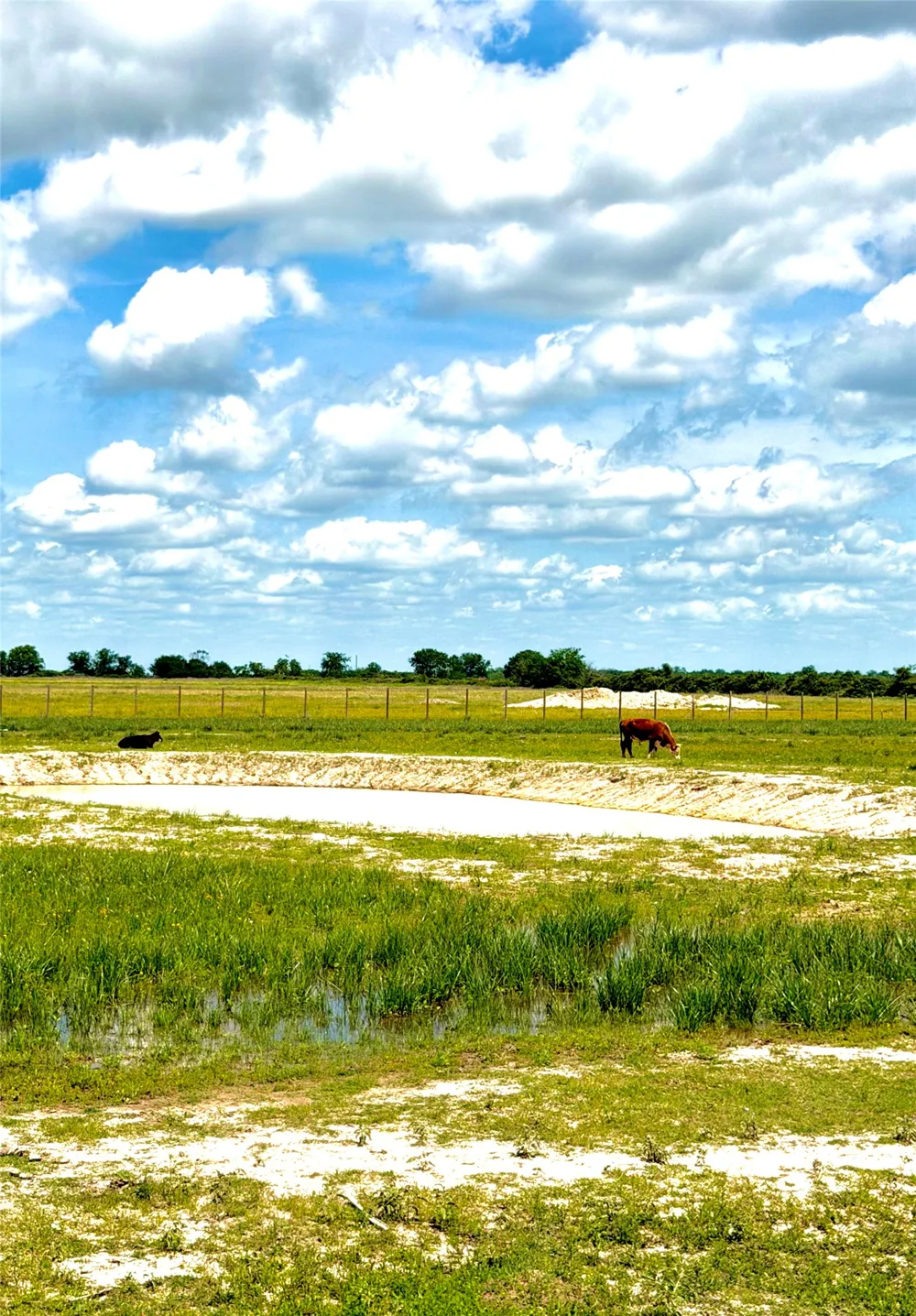43 Mcdonald Road Eagle Lake, TX 77434