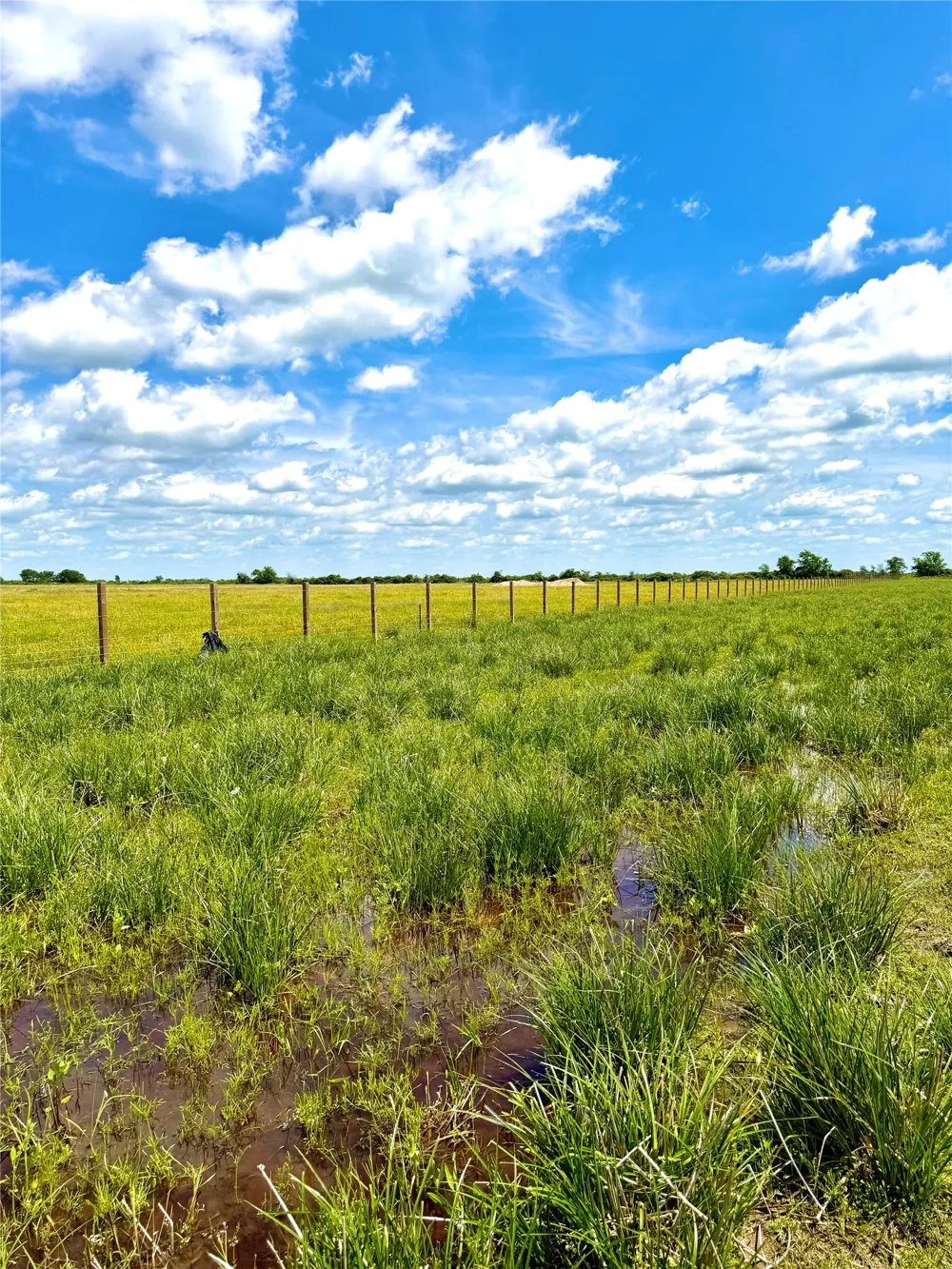 43 Mcdonald Road Eagle Lake, TX 77434