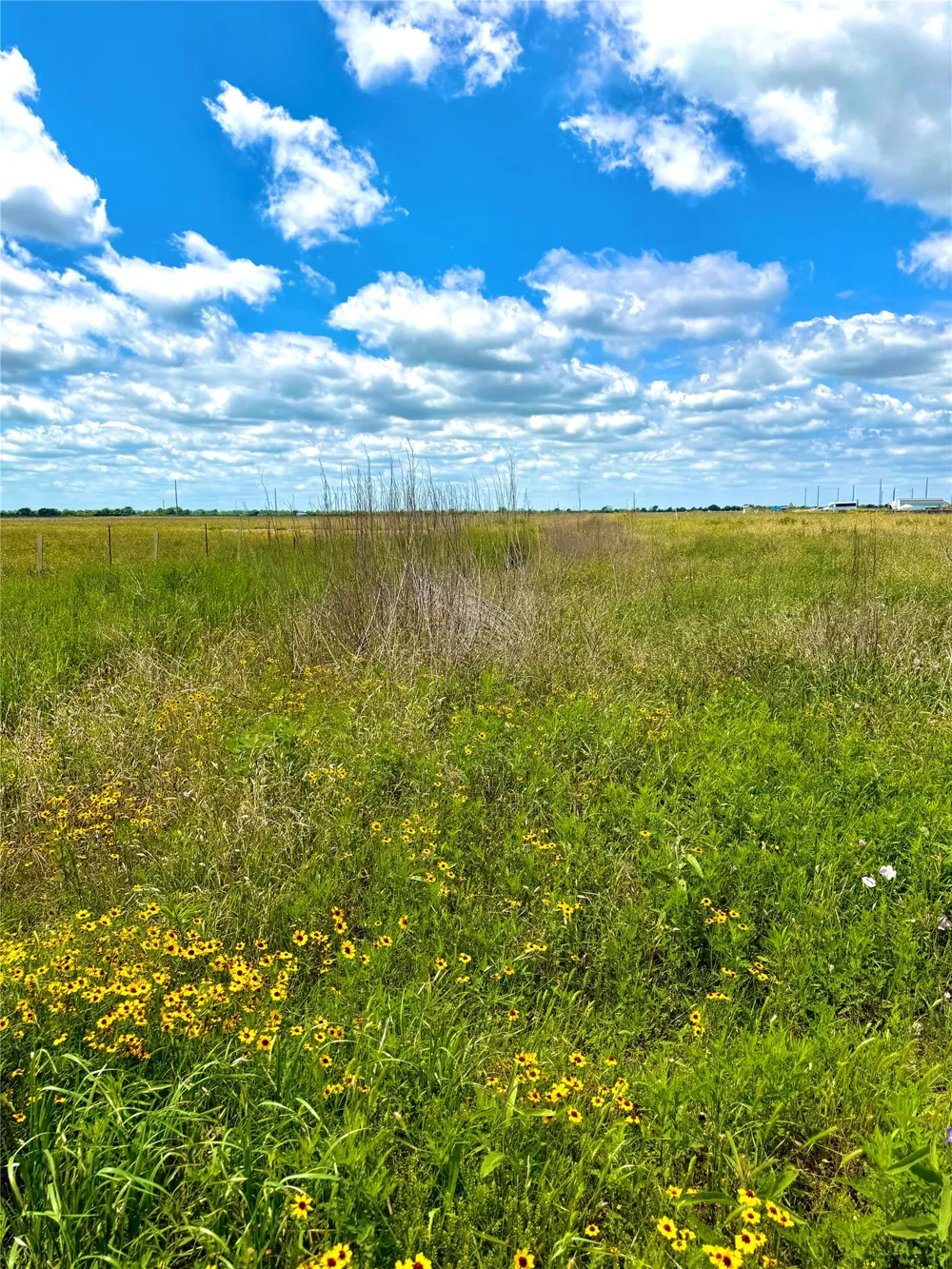 43 Mcdonald Road Eagle Lake, TX 77434