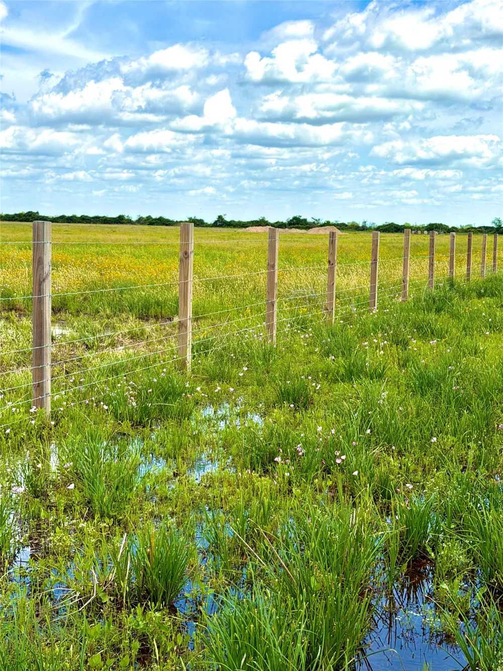 43 Mcdonald Road Eagle Lake, TX 77434