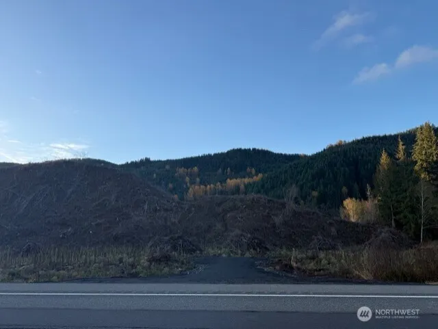 0 US Highway 12 Glenoma, WA 98336
