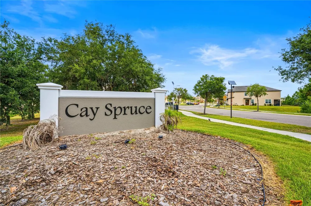 11240 CAY SPRUCE WAY San Antonio, FL 33576