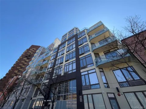 342 E 110th Street #8C
