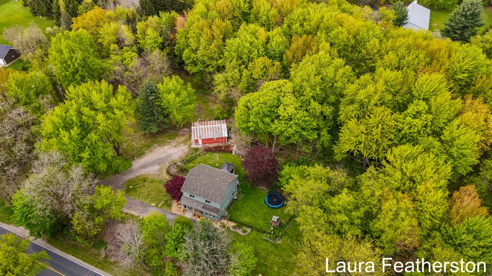 10451 Pine Island Drive NE Algoma Township, MI 49345