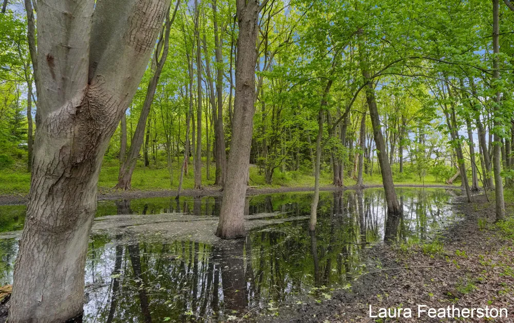 10451 Pine Island Drive NE Algoma Township, MI 49345