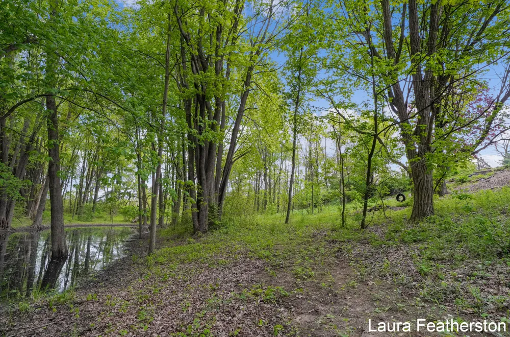 10451 Pine Island Drive NE Algoma Township, MI 49345