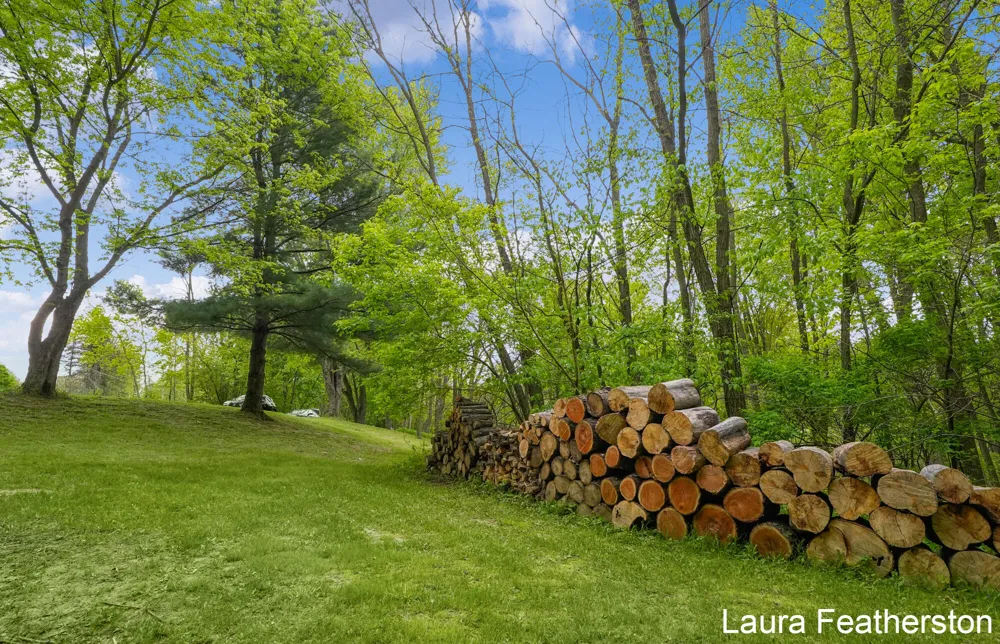 10451 Pine Island Drive NE Algoma Township, MI 49345