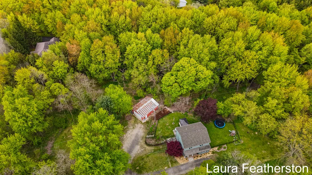 10451 Pine Island Drive NE Algoma Township, MI 49345