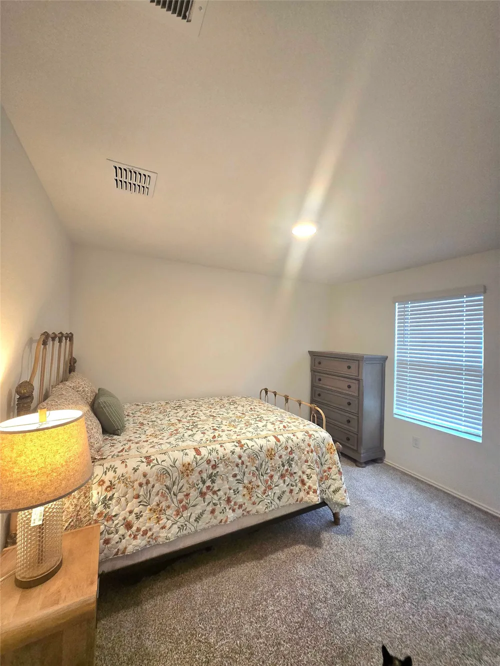 12419 Silversmith Lane Buda, TX 78610