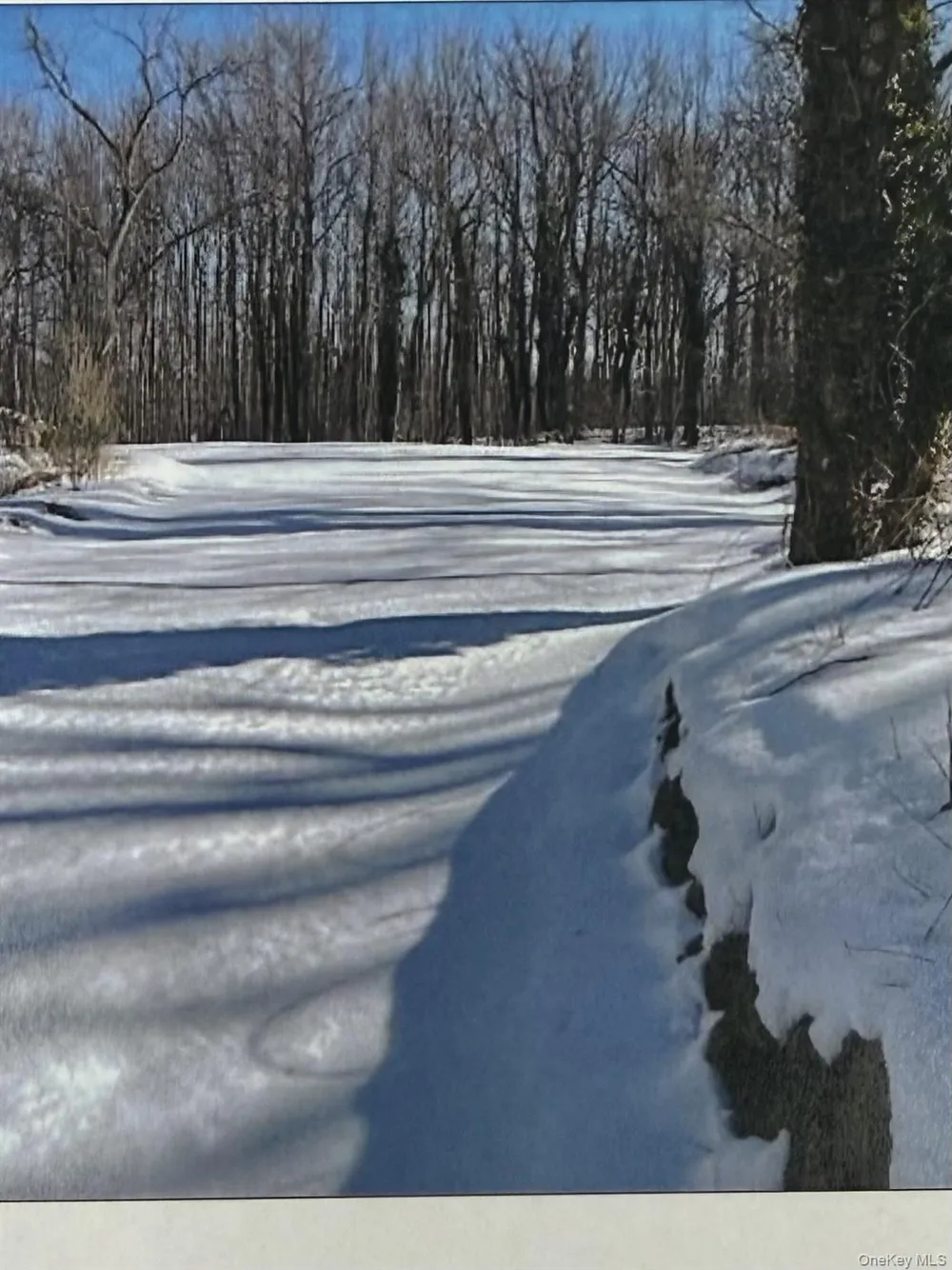 Lot #6 and #7 Plainview Road Huntington, NY 11743