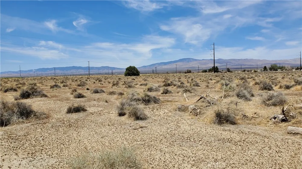 Dinkey Ave Rosamond, CA 93560