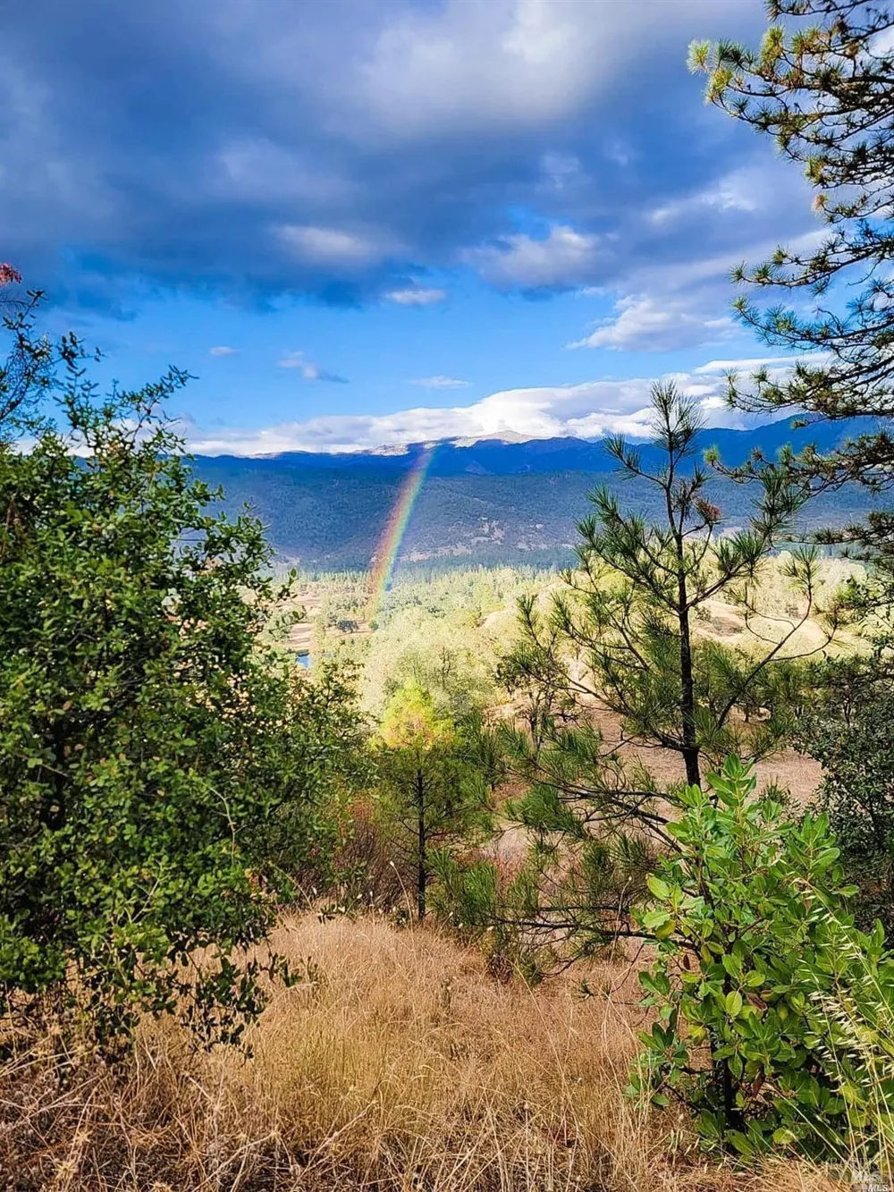 26850 Hwy 162 Covelo, CA 95428