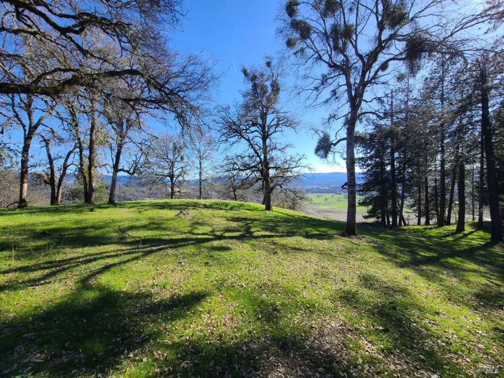 26850 Hwy 162 Covelo, CA 95428