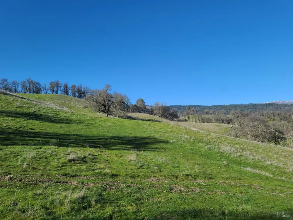 26850 Hwy 162 Covelo, CA 95428