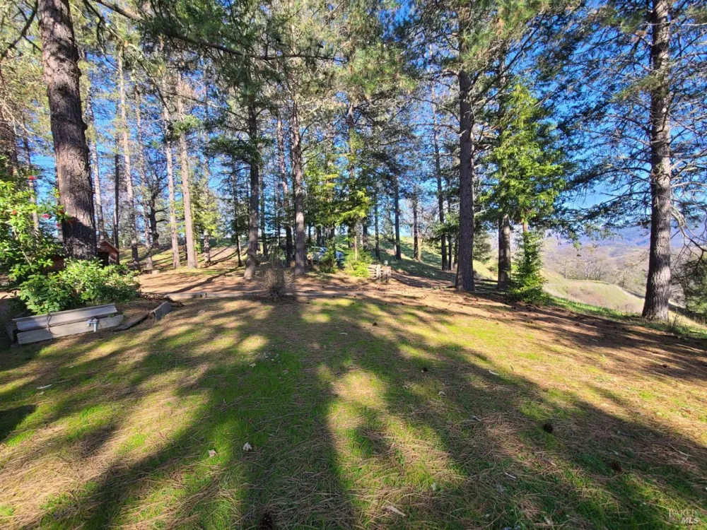 26850 Hwy 162 Covelo, CA 95428