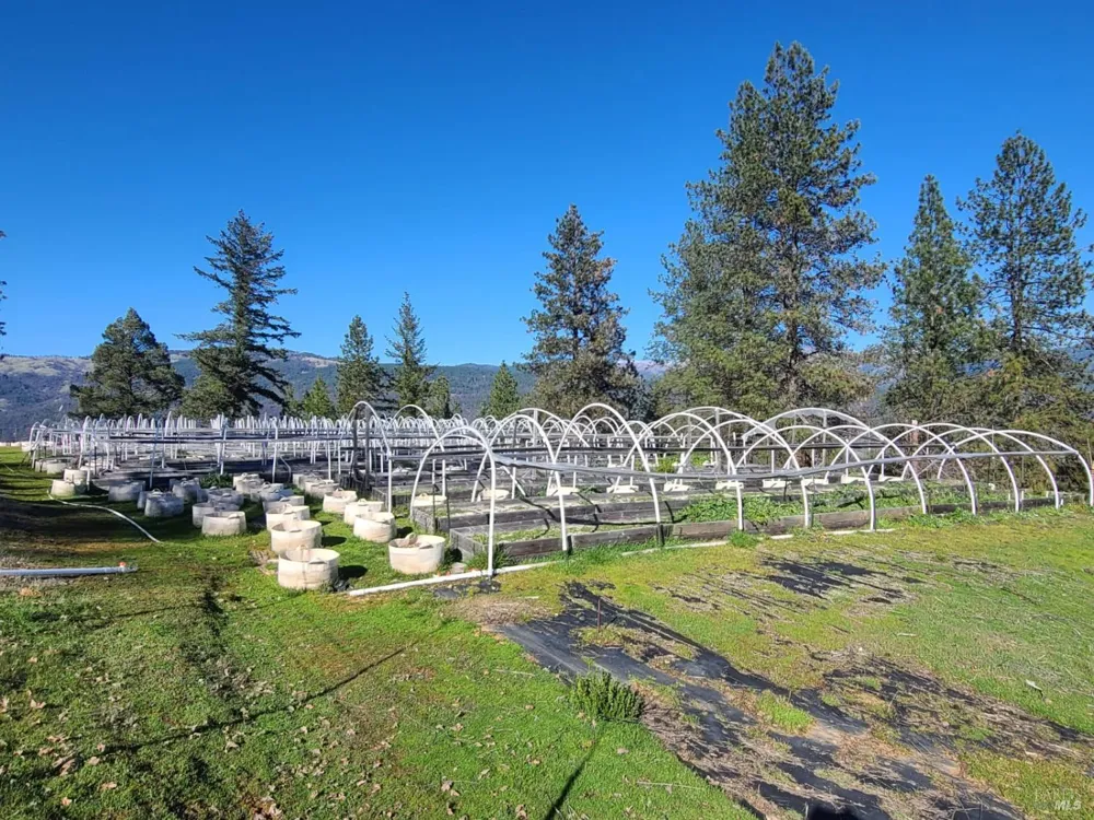 26850 Hwy 162 Covelo, CA 95428