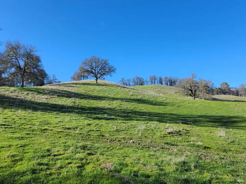 26850 Hwy 162 Covelo, CA 95428