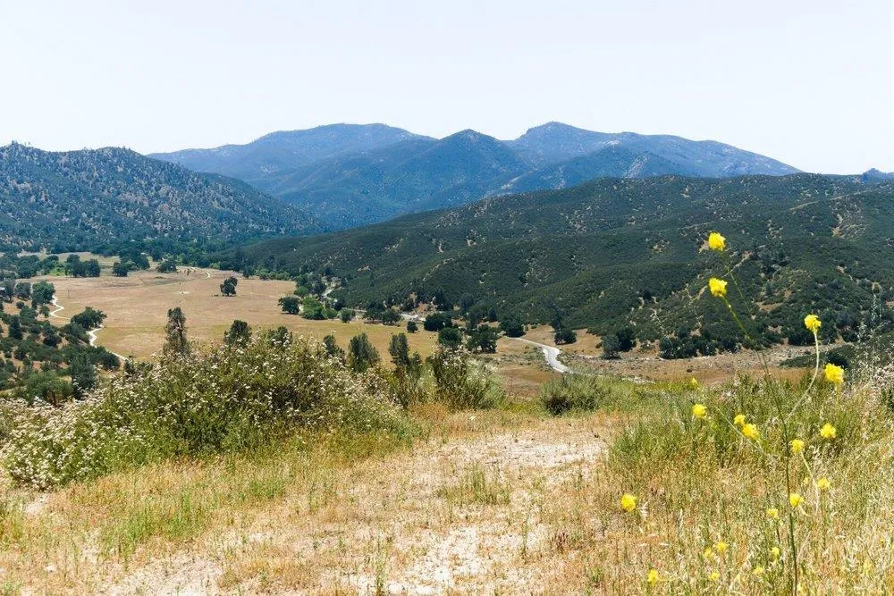 31341 Airline Highway Paicines, CA 95043