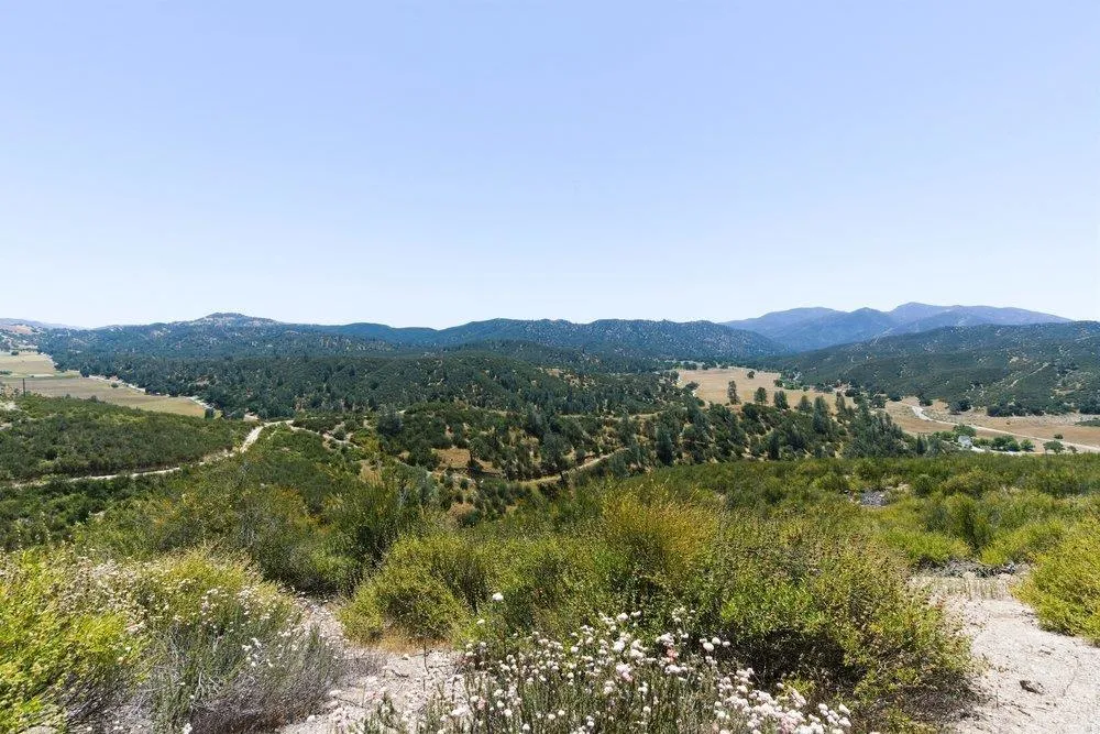 31341 Airline Highway Paicines, CA 95043