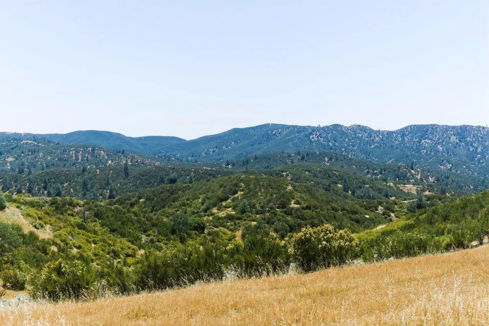 31341 Airline Highway Paicines, CA 95043