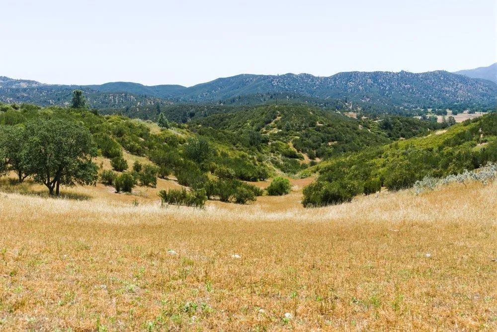 31341 Airline Highway Paicines, CA 95043