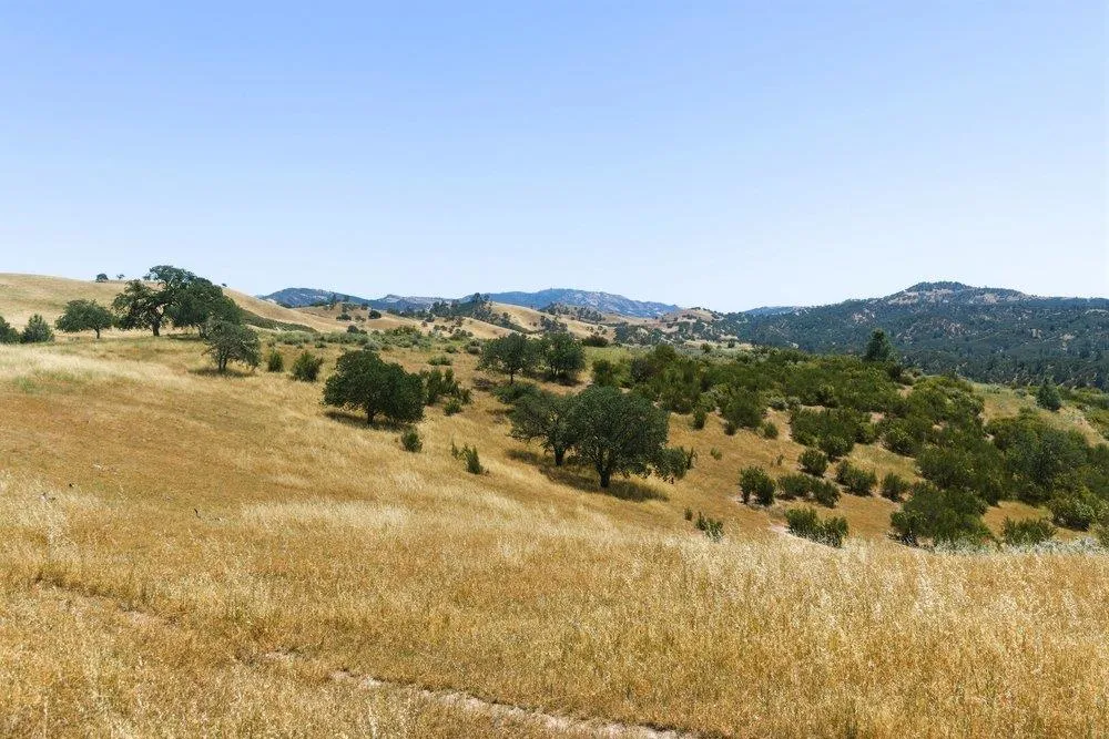 31341 Airline Highway Paicines, CA 95043