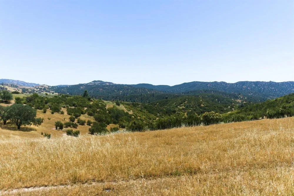 31341 Airline Highway Paicines, CA 95043