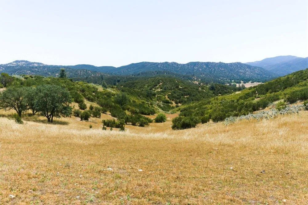 31341 Airline Highway Paicines, CA 95043