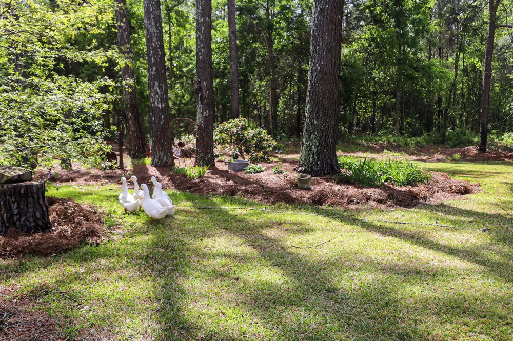 9466 Clarks Mill Road Avera, GA 30803