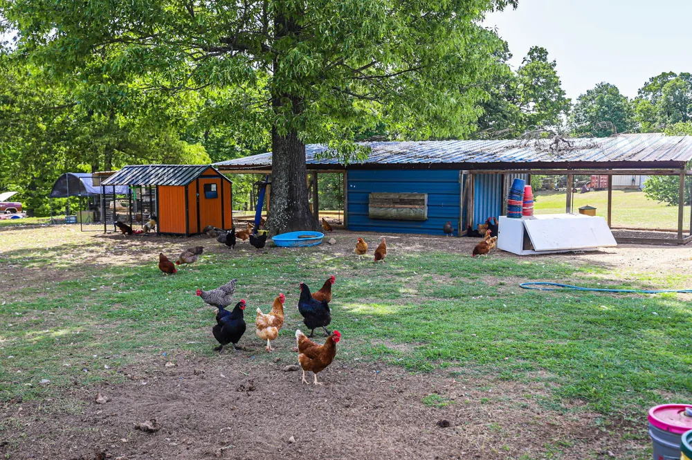 9466 Clarks Mill Road Avera, GA 30803