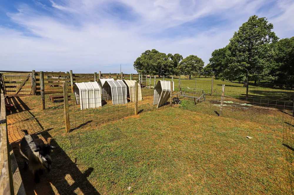 9466 Clarks Mill Road Avera, GA 30803