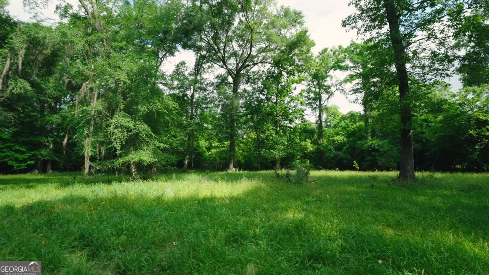 0 East River RD Jacksonville, GA 31544
