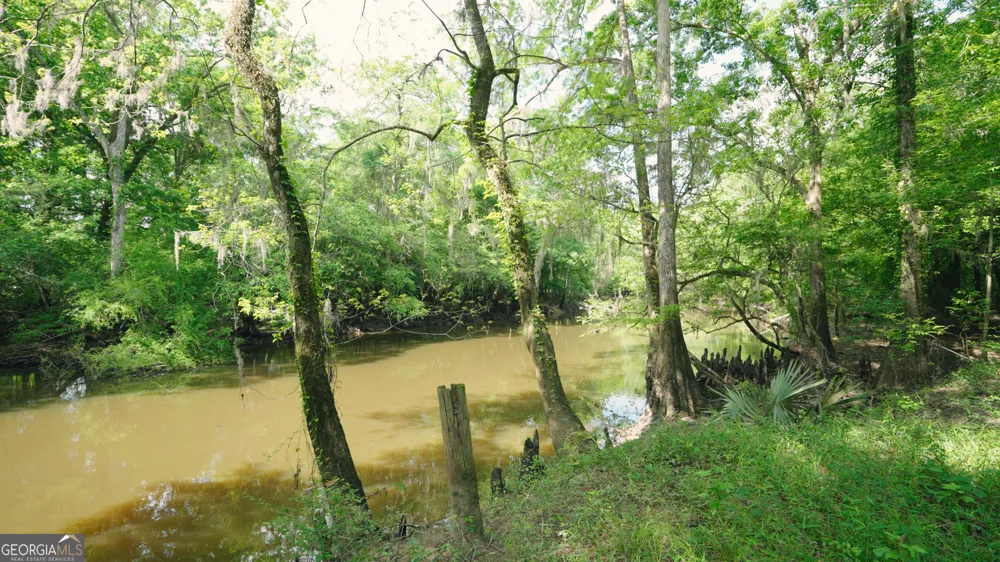 0 East River RD Jacksonville, GA 31544