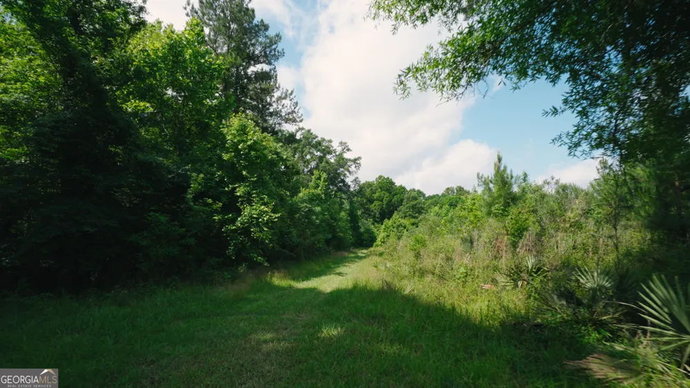 0 East River RD Jacksonville, GA 31544