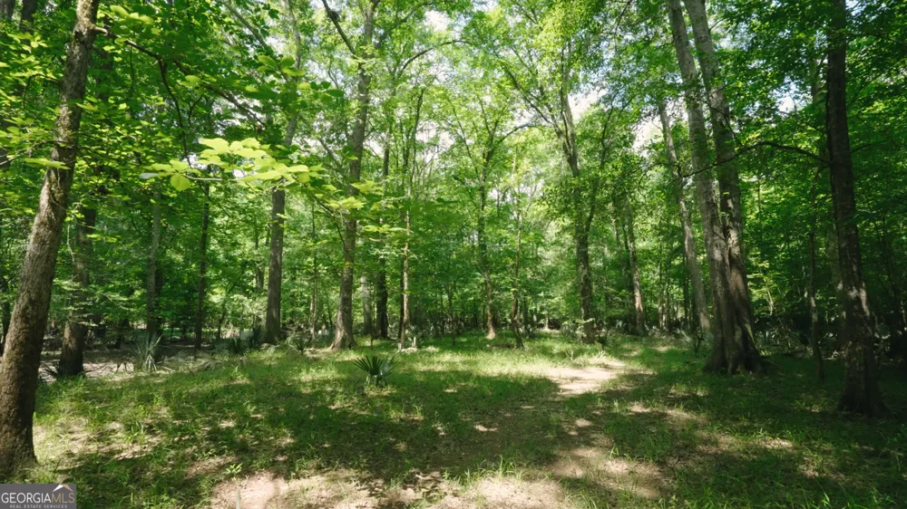 0 East River RD Jacksonville, GA 31544