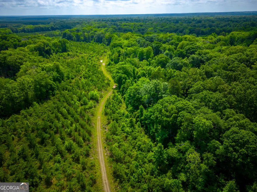 0 East River RD Jacksonville, GA 31544