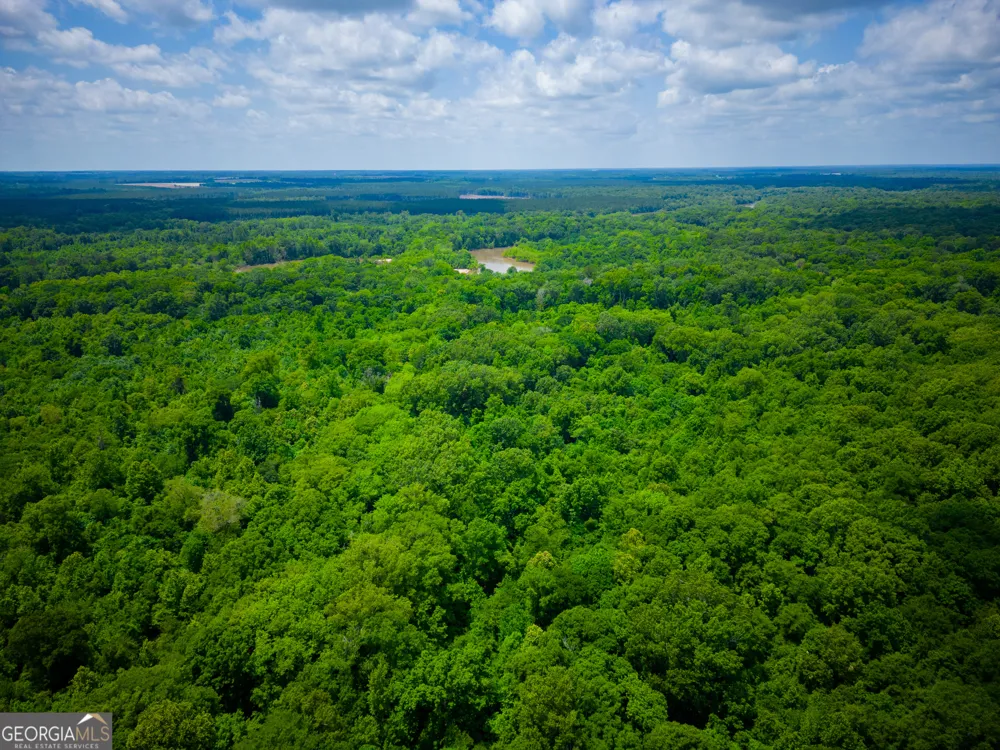 0 East River RD Jacksonville, GA 31544