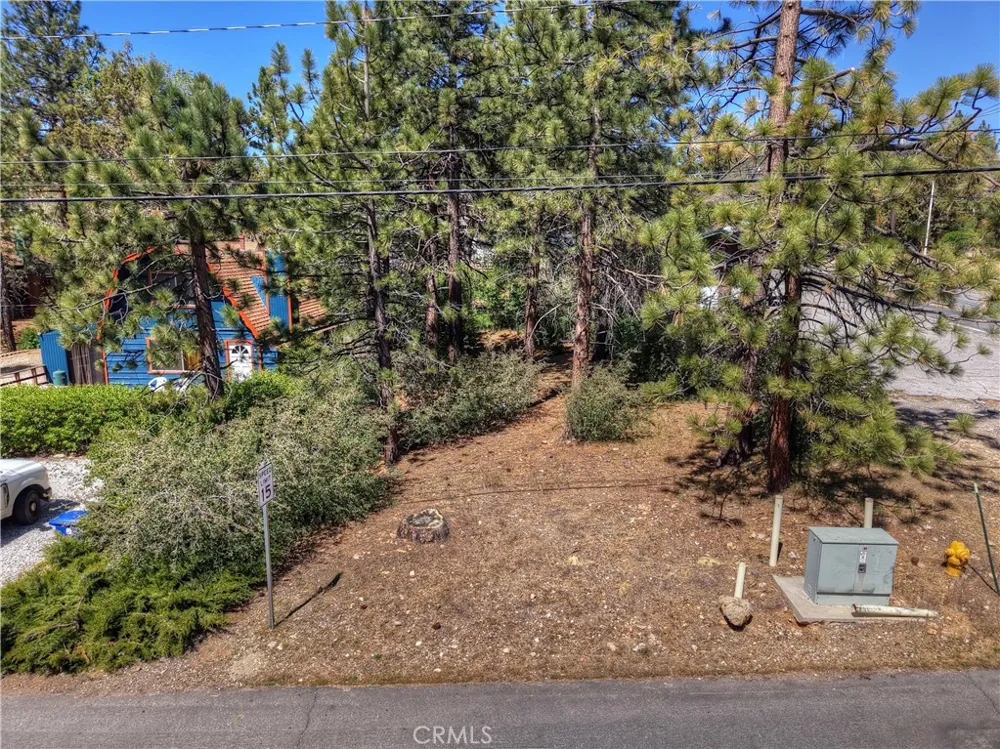 Maple Lane Sugarloaf, CA 92386