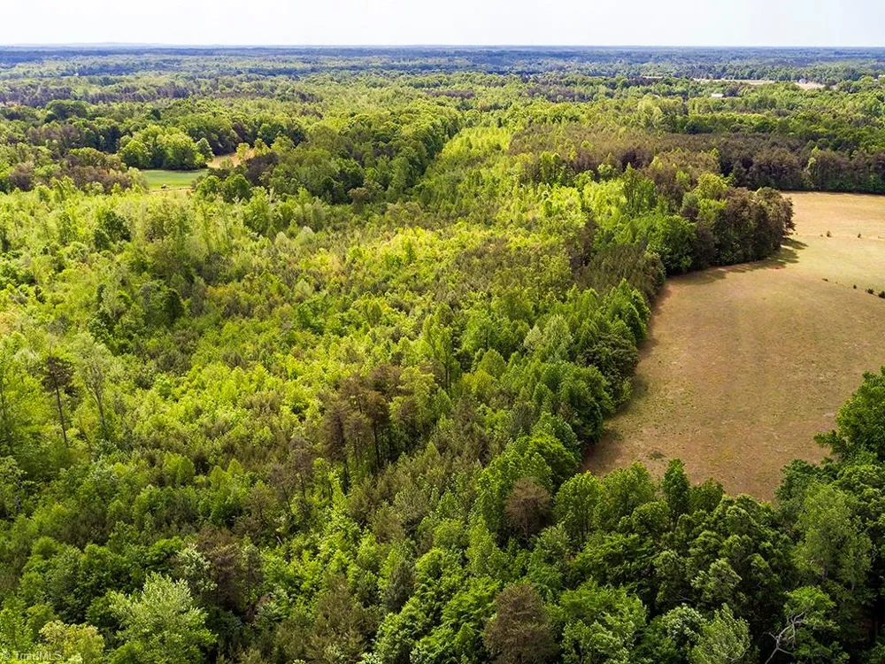 5338 Hicone Road McLeansville, NC 27301