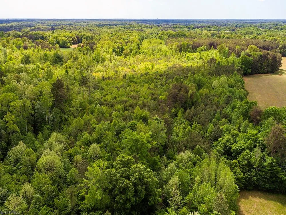 5338 Hicone Road McLeansville, NC 27301